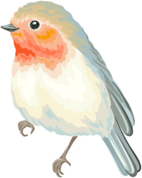 Bird Cute Animo Pastel Spring Png Overlay Edits Edit (1024x1024), Png Download