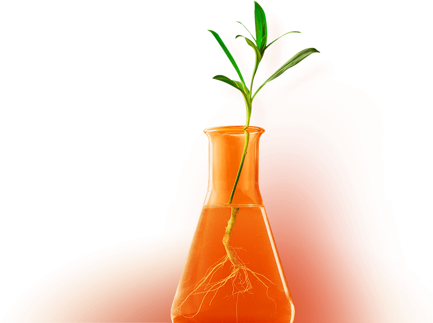 Plant In A Test Tube To Represent Growth Through Marketing (2000x1040), Png Download