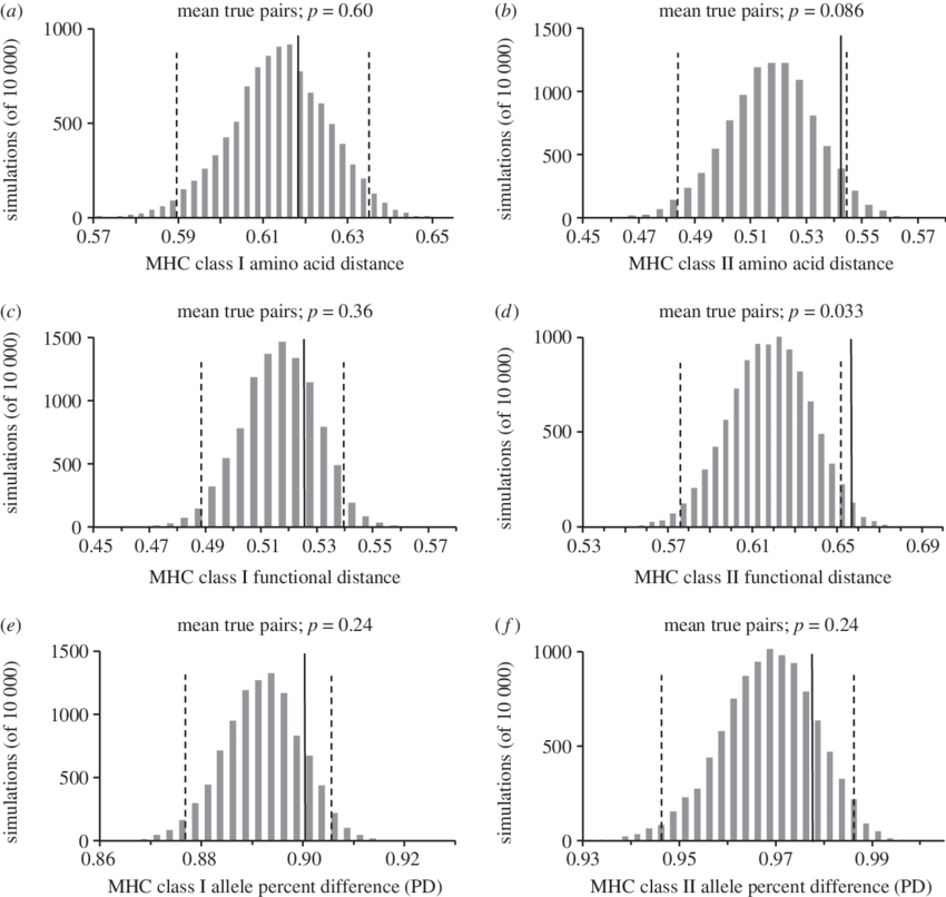 Distribution Of Mean Mhc Phylogenetic Distance, Pbr (850x806), Png Download