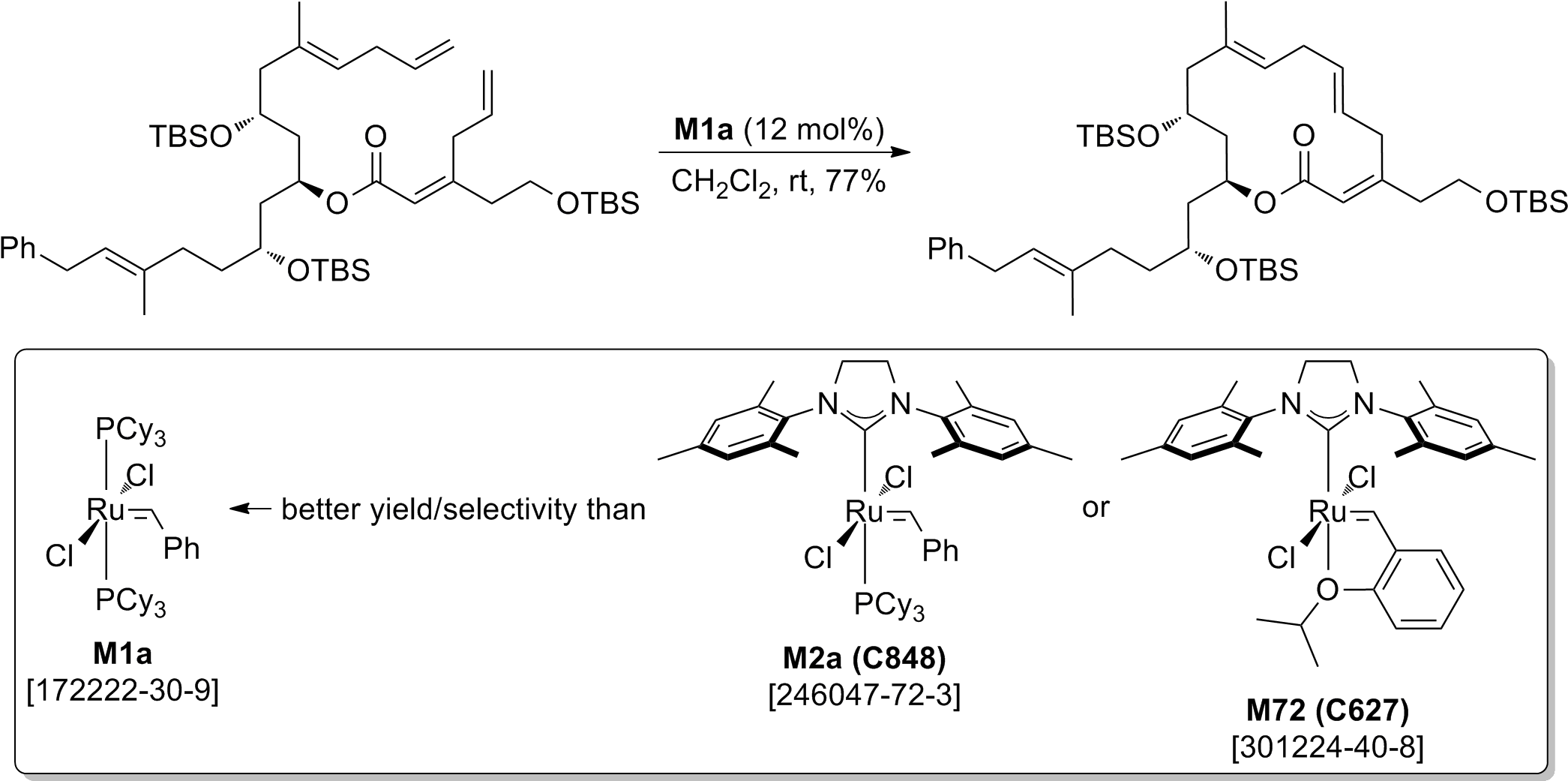 Florian Glaus, Darija Dedic, Priyanka Tare, Valakunja (2111x1059), Png Download