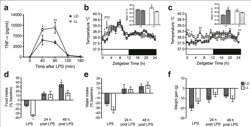 Ll Rats Produced More Tnf Α And Showed Increased Sickness (850x430), Png Download