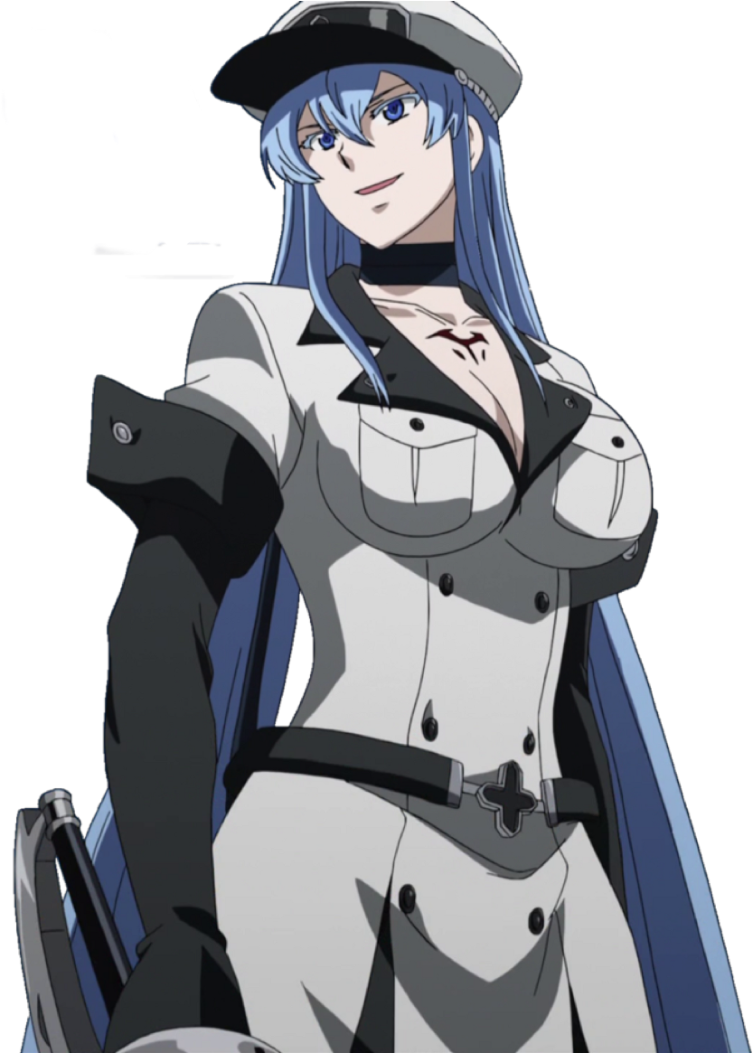 Esdeath Png (1024x1164), Png Download.