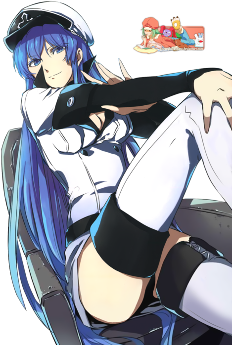 Akame Ga Kill, Anime, And Esdeath Image (500x718), Png Download