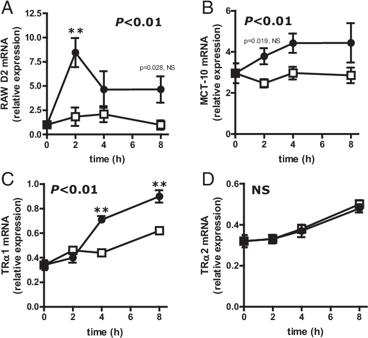 Relative Expression In Raw264 (720x664), Png Download