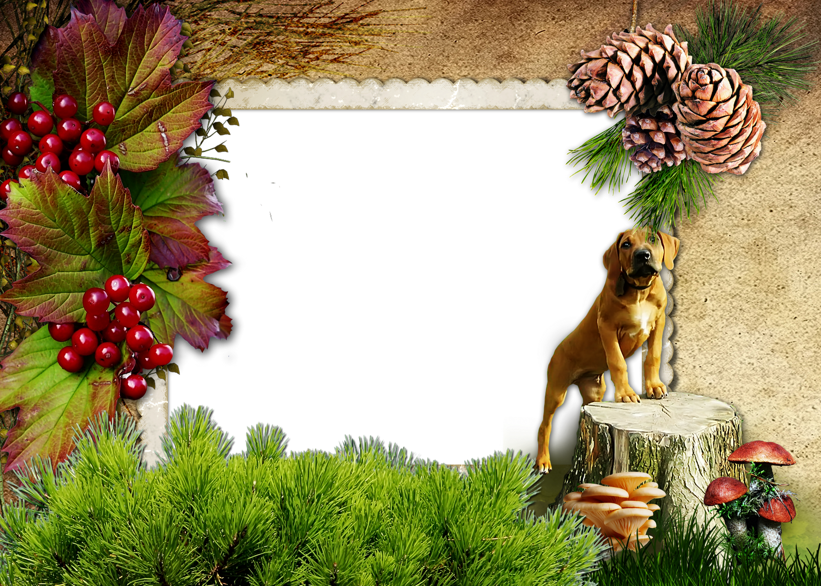 Imagenes De Naturaleza En Png Para Fondo De Pantalla (1600x1143), Png Download