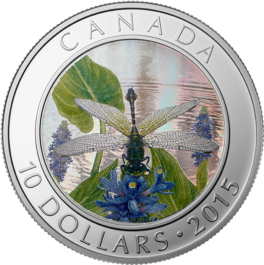 Fine Silver Coin (570x570), Png Download