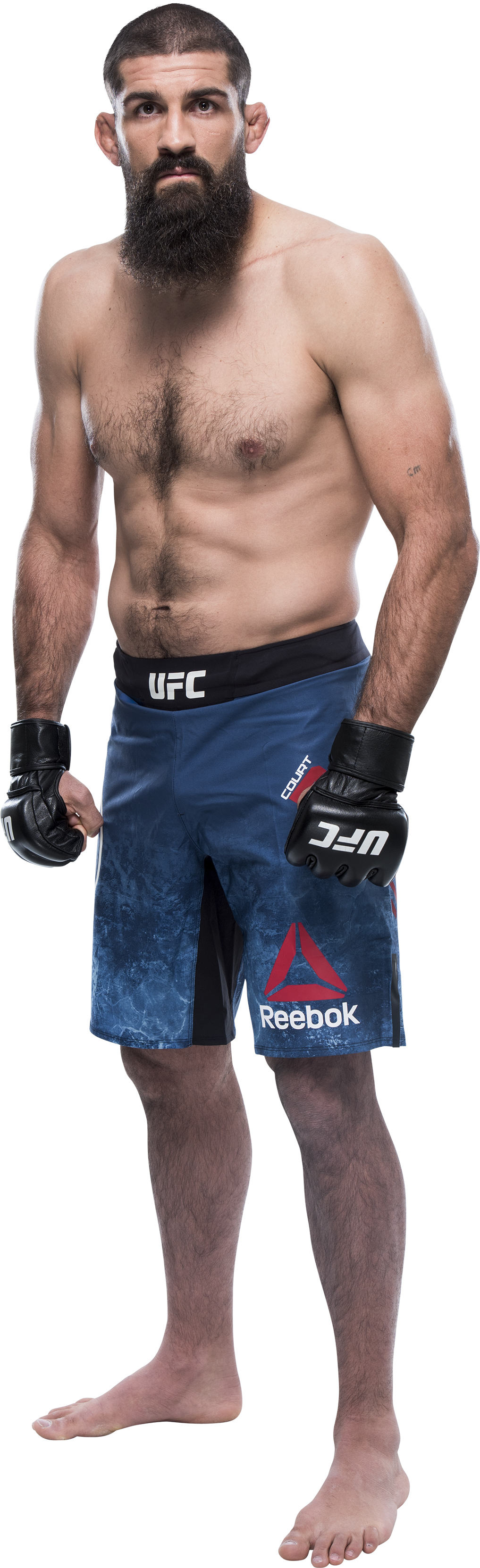 Ufc Belt Png (1017x3324), Png Download