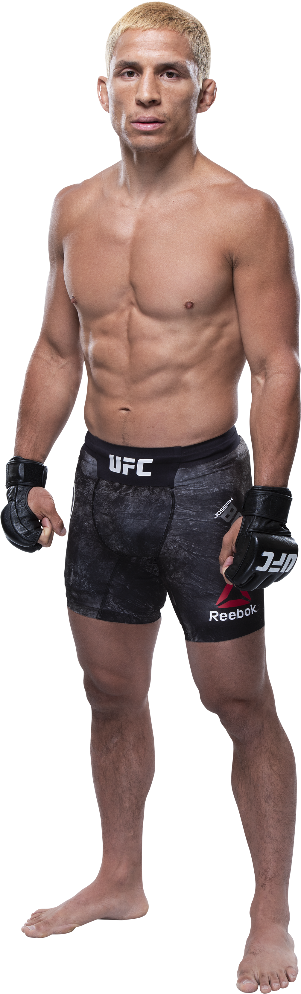 Ufc Belt Png (1006x3324), Png Download