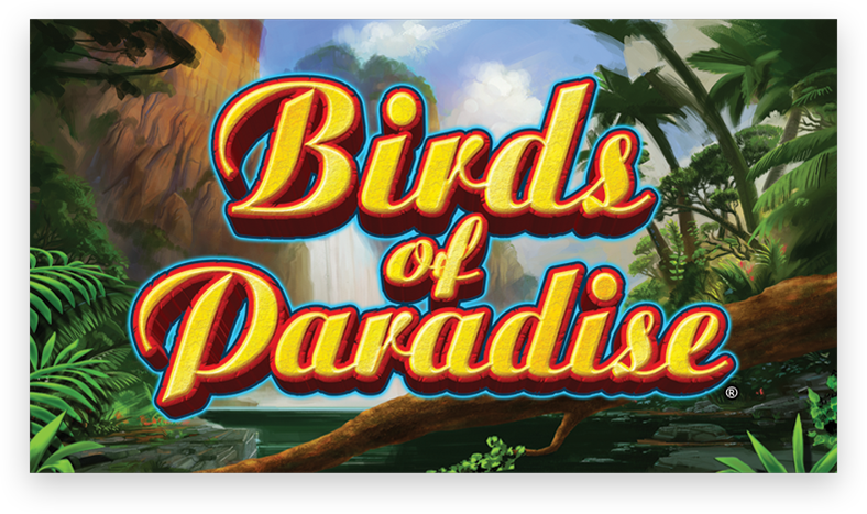 Birds Of Paradise® (788x467), Png Download