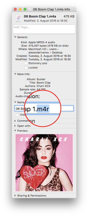 Change File Extension To M4r (377x900), Png Download