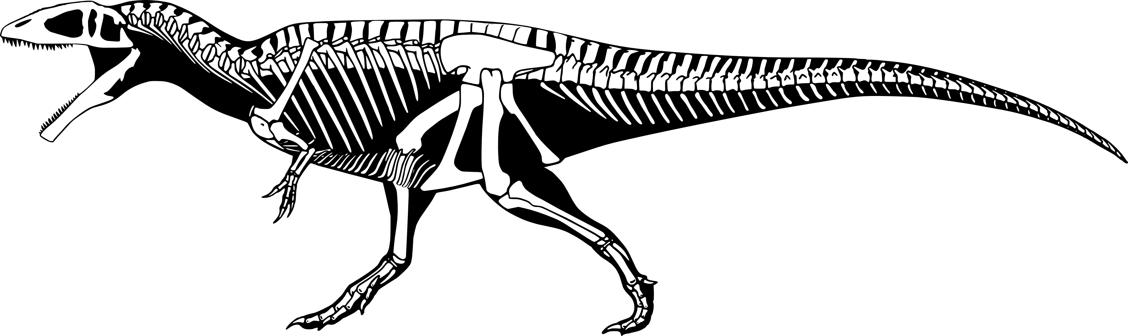 I Based The Reconstruction On This Drawing Of The Indominus (3650x1089), Png Download