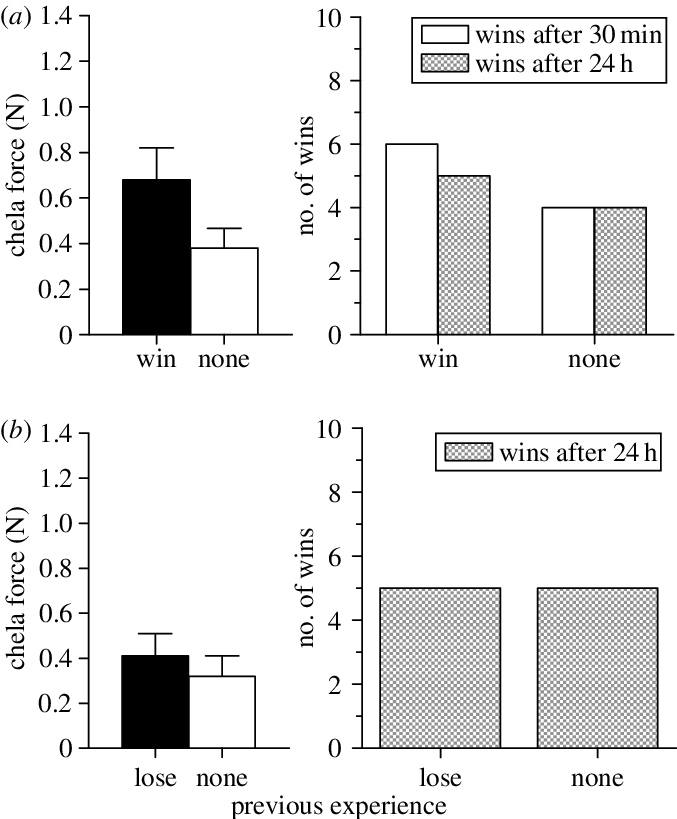 Winning A Previous Fight Did Not Lead To Increased (677x819), Png Download