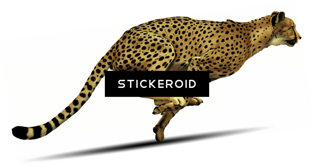 Cheetah (1084x581), Png Download