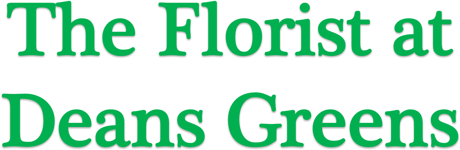 Teleflora's Turn Up The Pink Bouquet In Berkeley Heights (2072x845), Png Download