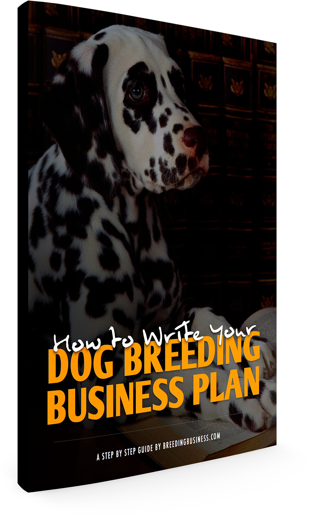 Download Ebook Cover PNG Image with No Background