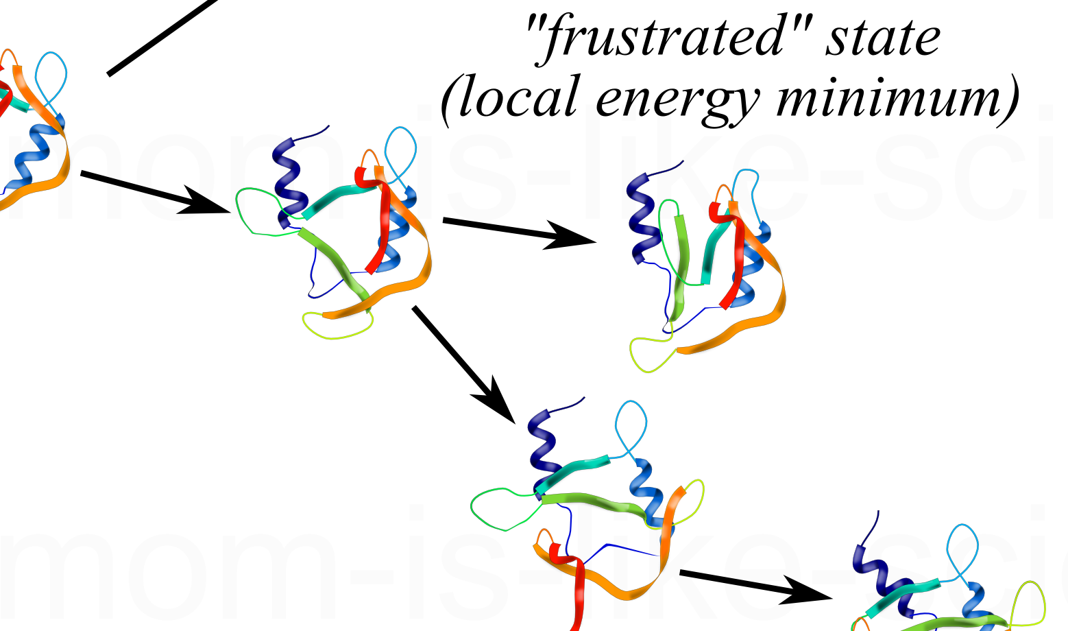 Your Mom Is Like A Protein Folding Intermediate (1558x920), Png Download