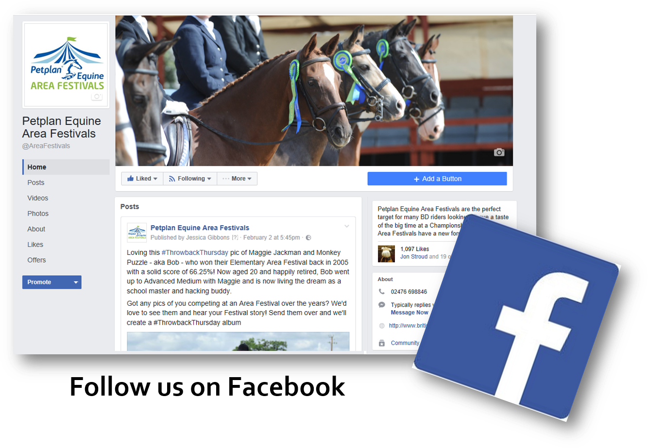 Petplan Equine Area Festivals Are The Perfect Target (1349x937), Png Download