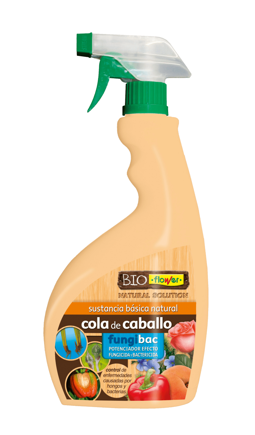 Cola De Caballo Listo Uso (822x1400), Png Download