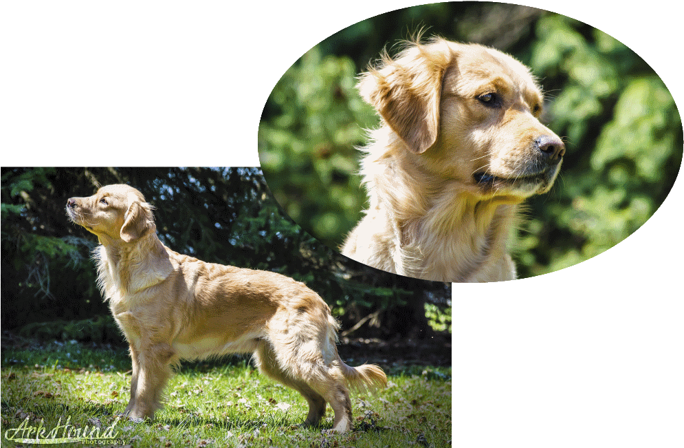 Chloey's Parents (1000x658), Png Download