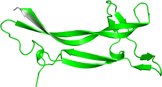 Knot Png (800x800), Png Download