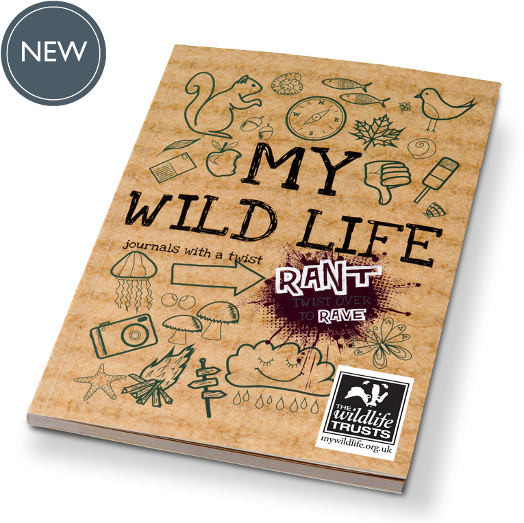 Rant & Rave About My Wild Life (800x800), Png Download