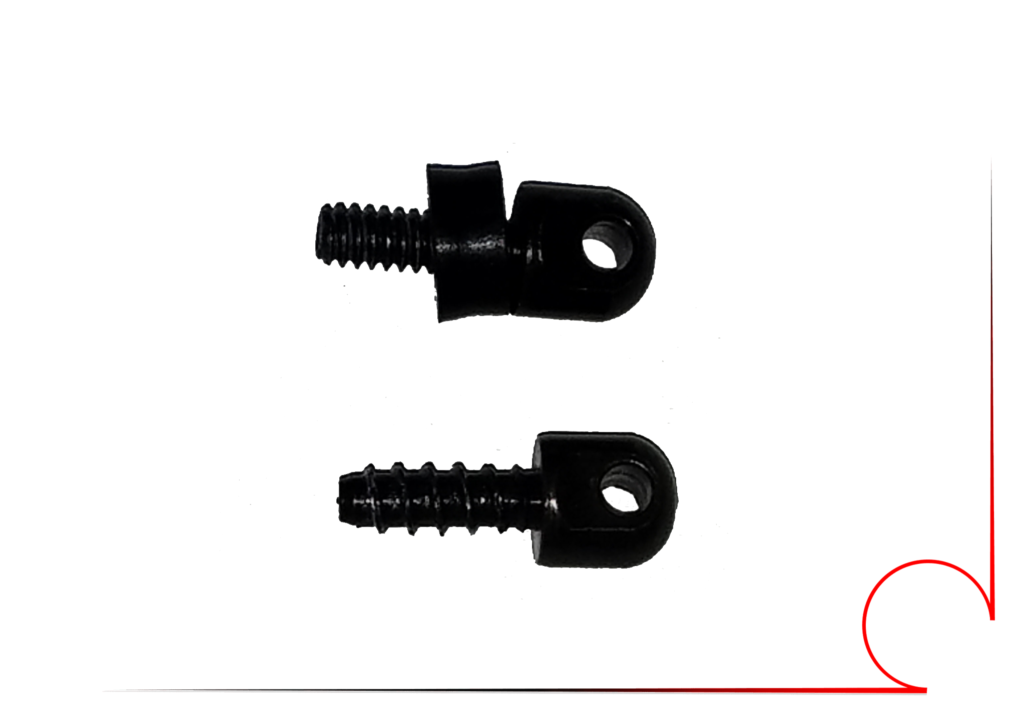 The Young Scientist Club Magic School Bus Secrets Of (2048x1446), Png Download