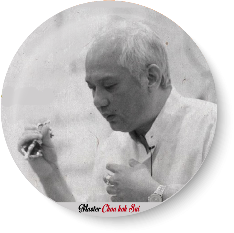 Choa Png (961x1024), Png Download