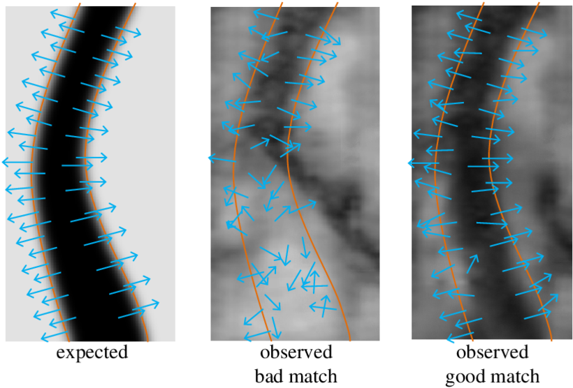 Illustration Of Likelihood Computation And The Partial (850x572), Png Download