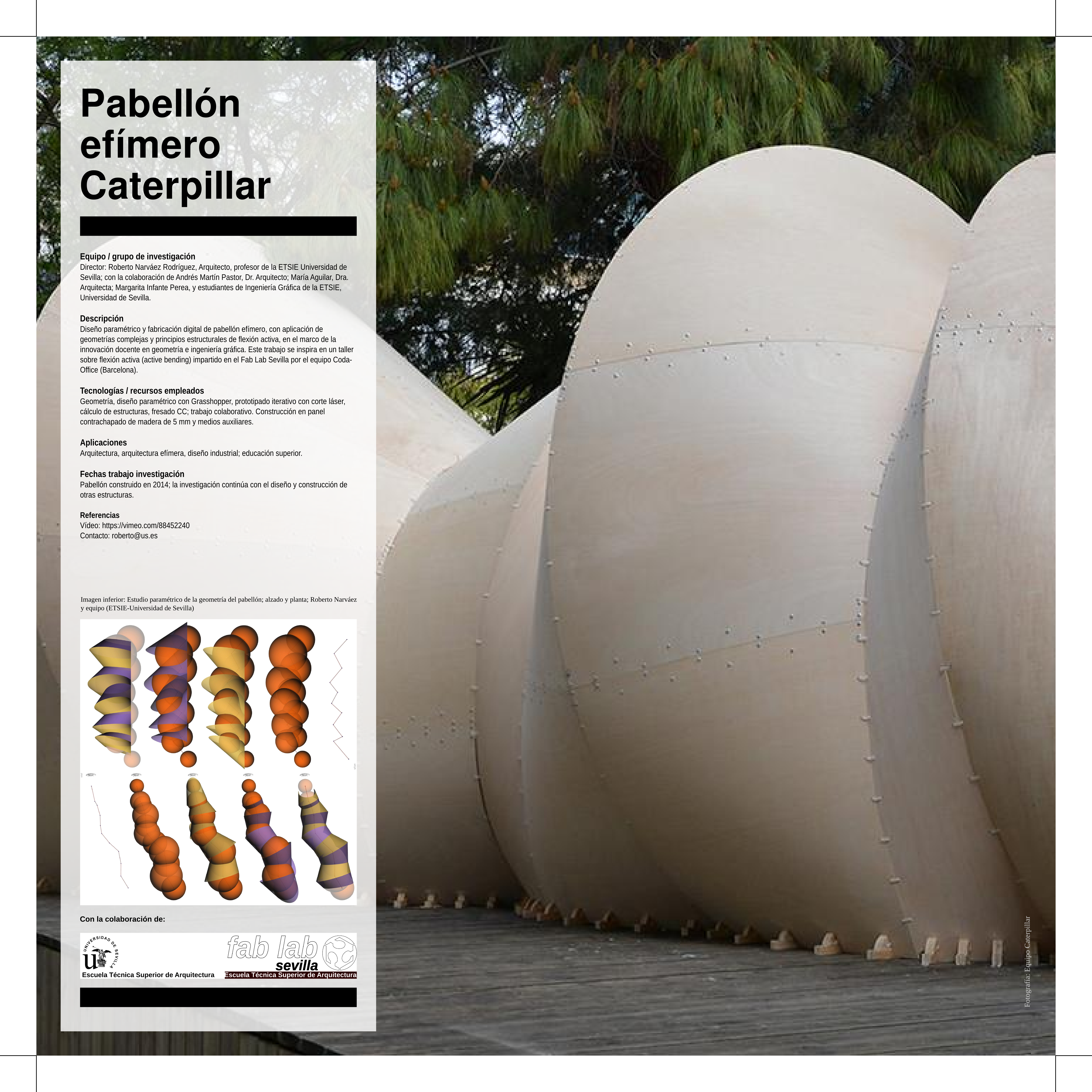 08 Rn Caterpillar (5315x5315), Png Download