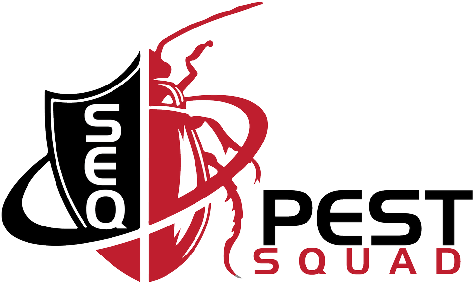 Logo Logo (1000x616), Png Download