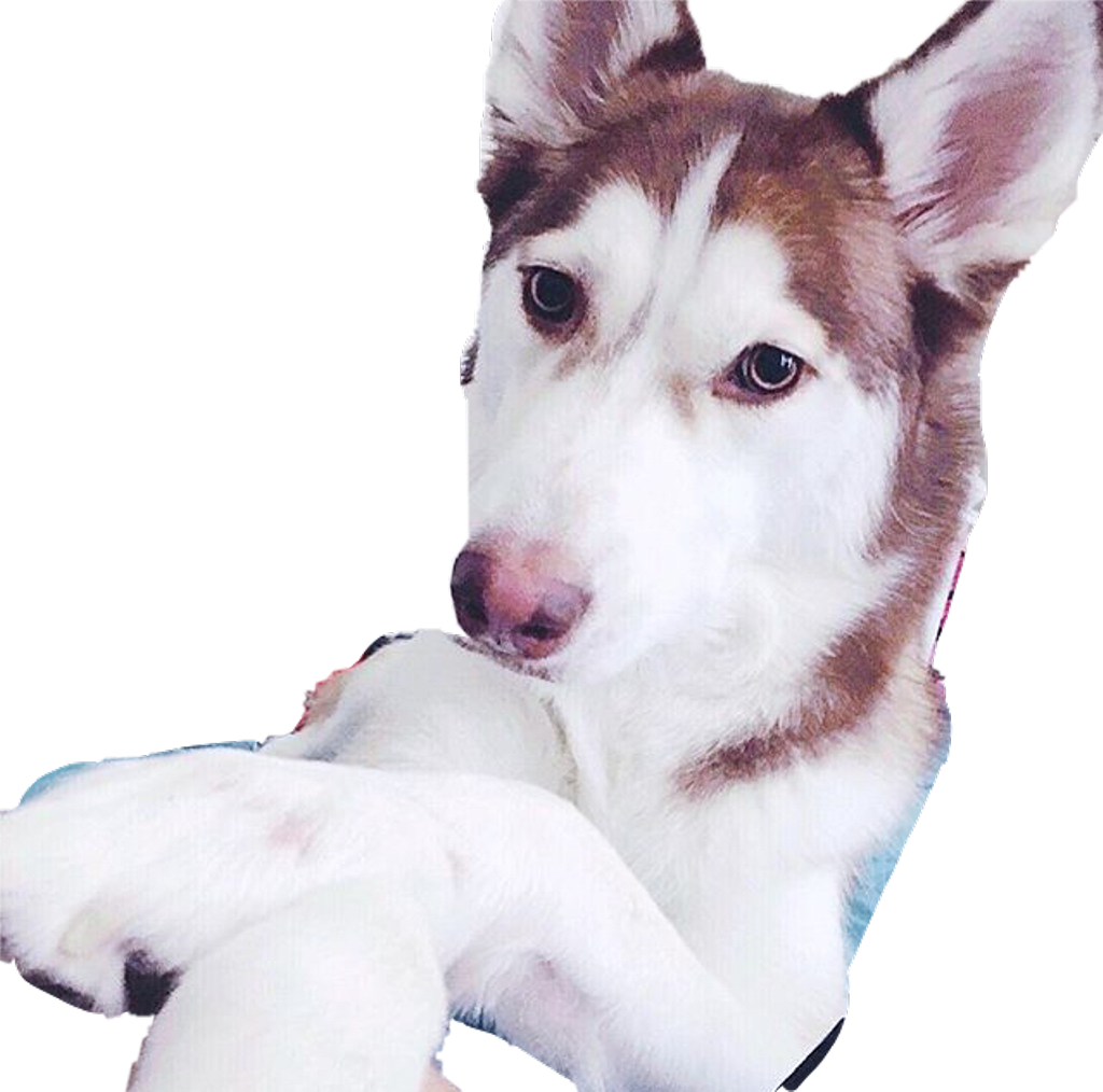 Yuna Png (1024x1014), Png Download