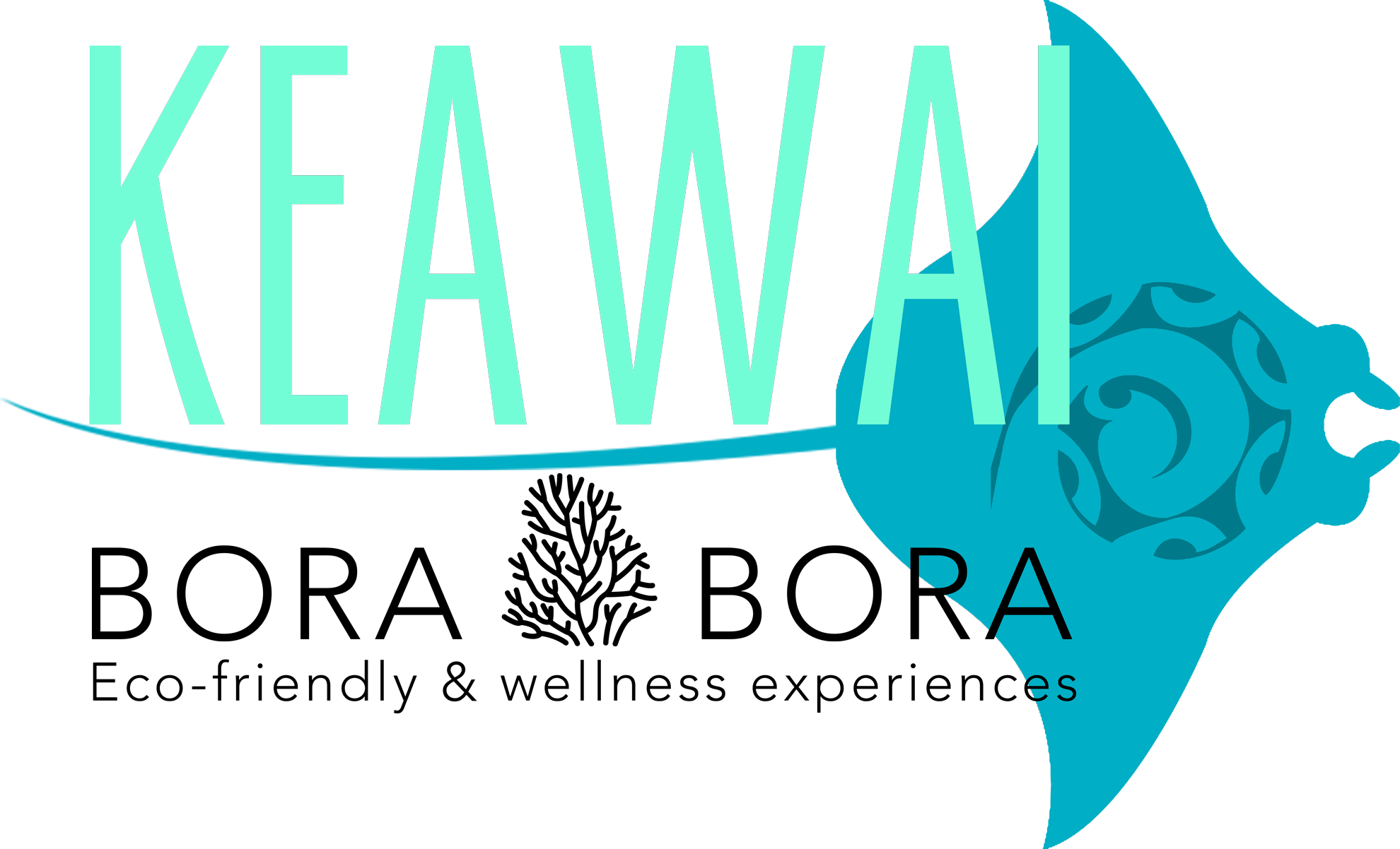 Send Us A Message (1980x1202), Png Download