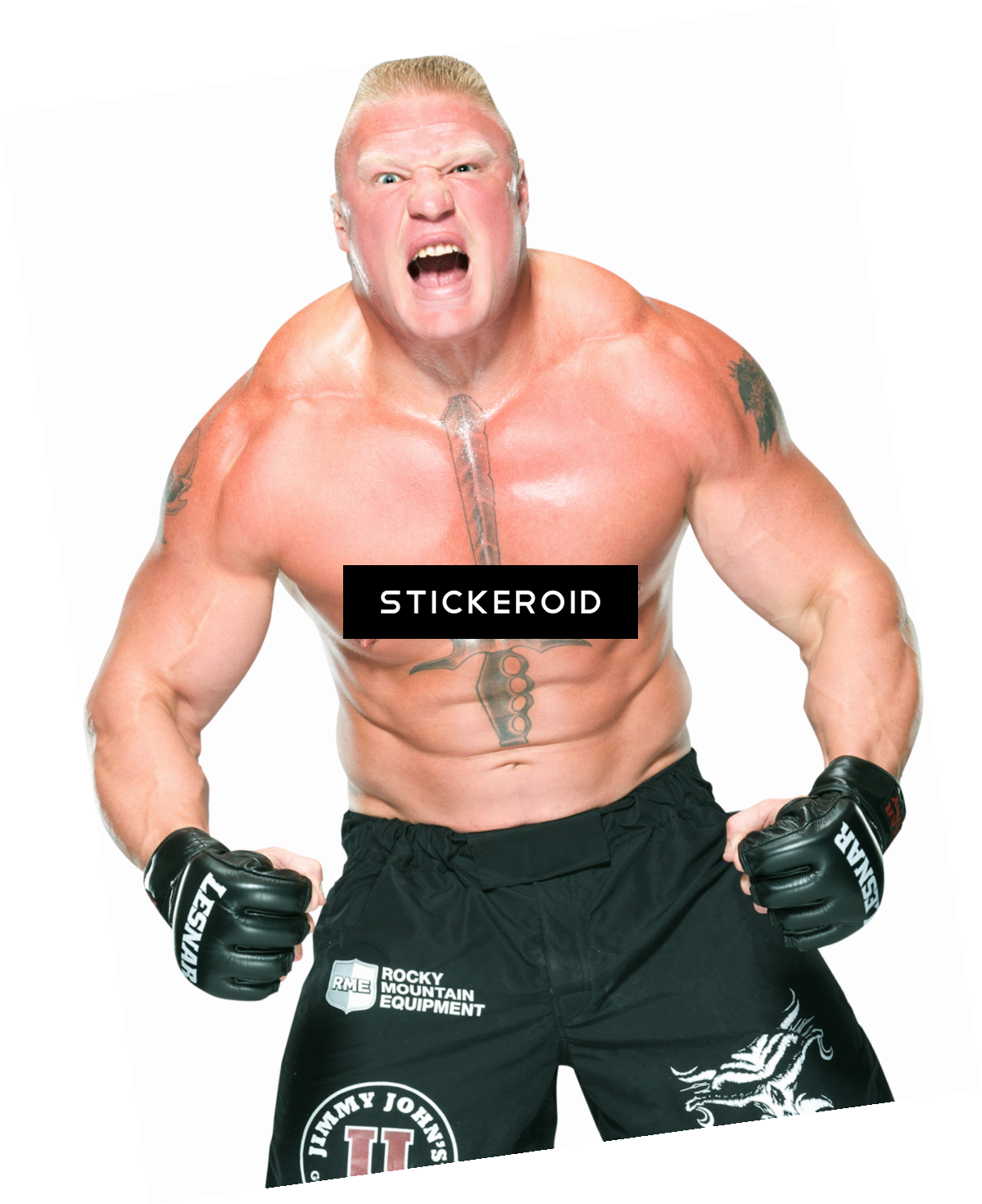 Brock Lesnar Wwe (1199x1470), Png Download