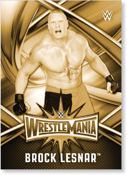 Brock Lesnar 2017 Wwe Road To Wrestlemania Wrestlemania (700x700), Png Download