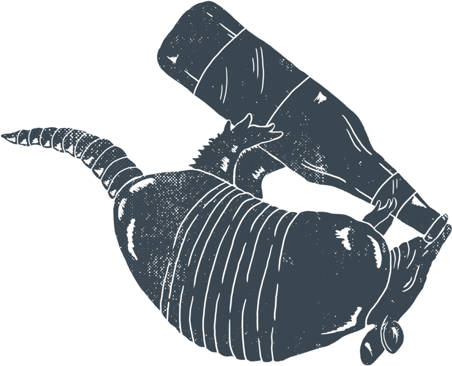 Armadillo (1000x1000), Png Download