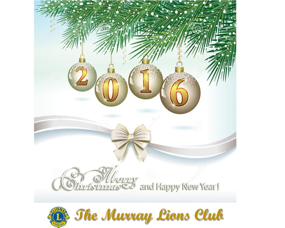 Lions Club Christmas 2016 (914x752), Png Download