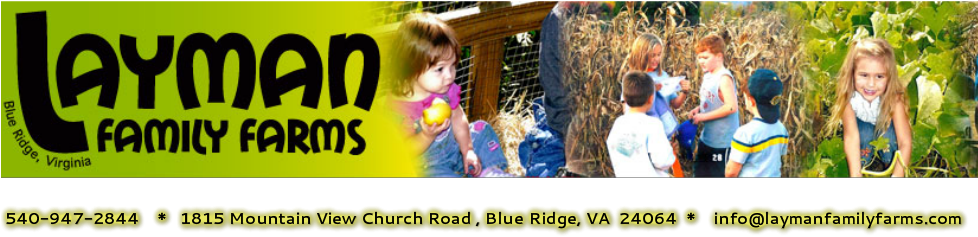 Pick Your Own Pumpkin Patch (977x316), Png Download