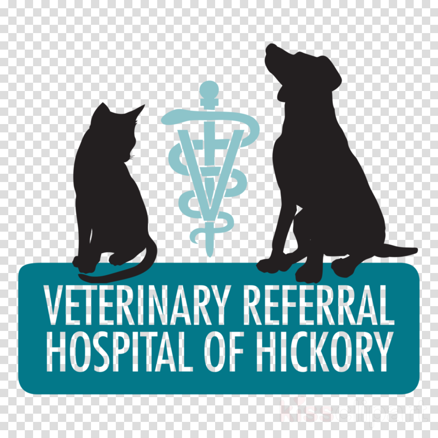 Veterinary Medicine Clipart Cat Dog Veterinary Referral (900x900), Png Download