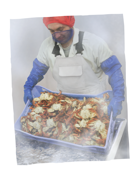 Our Facilities Are Haccp Accredited And We Continue (600x733), Png Download