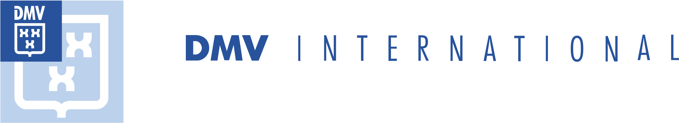 Dmv International Logo Png Transparent (2400x2400), Png Download