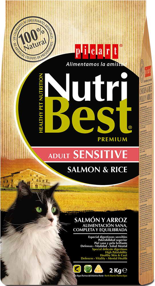 Comida Natural Para Gatos (1000x1000), Png Download