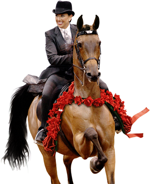 Jim Lowe (500x724), Png Download