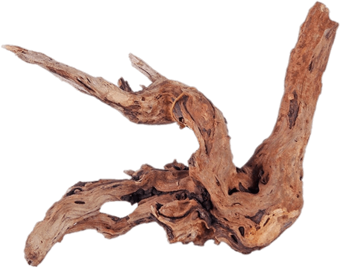 Driftwood (841x790), Png Download