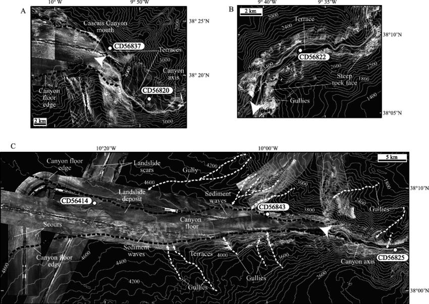 Tobi Side-scan Sonar Images And Superimposed Bathymetry (850x603), Png Download