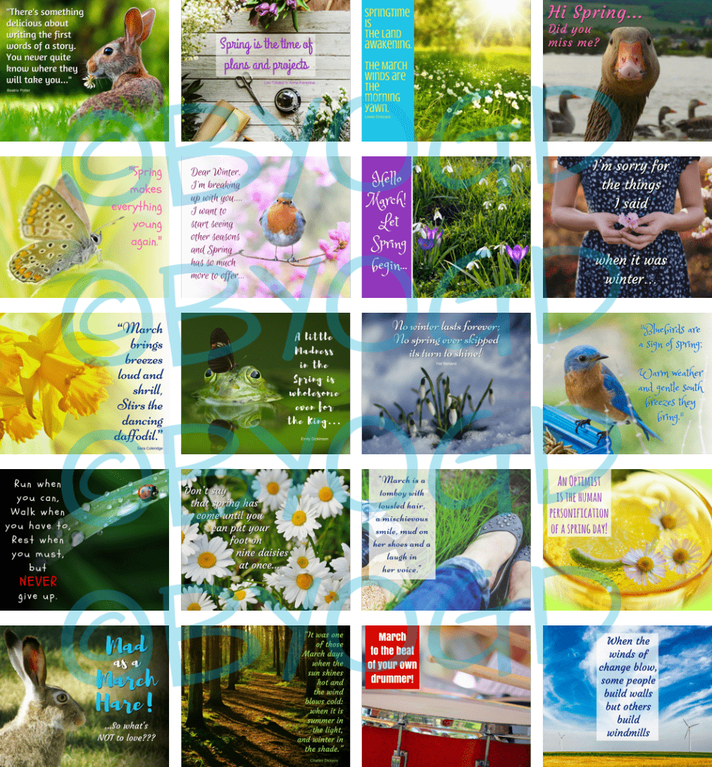 20 Ready-made January Social Media Quotes (1011x1089), Png Download