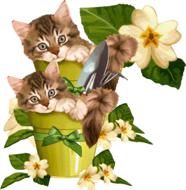 Gato Png (600x613), Png Download