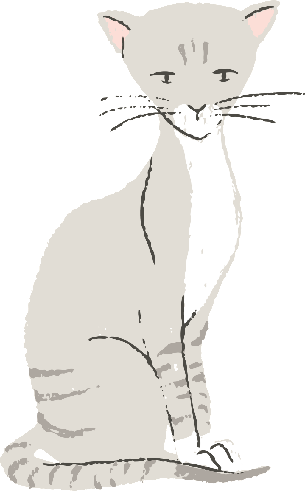 Pintado A Mano De Color Transparente, Té De La Leche (1024x1647), Png Download