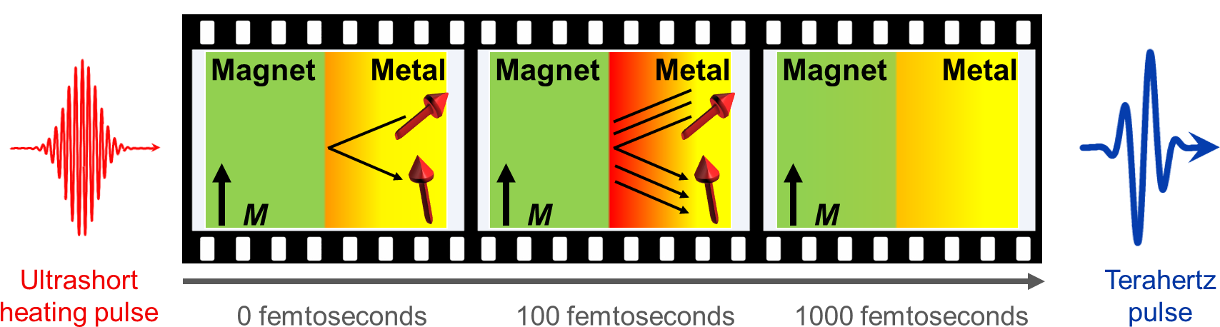 Watching The Ultrafast Spin Seebeck Effect (1810x487), Png Download
