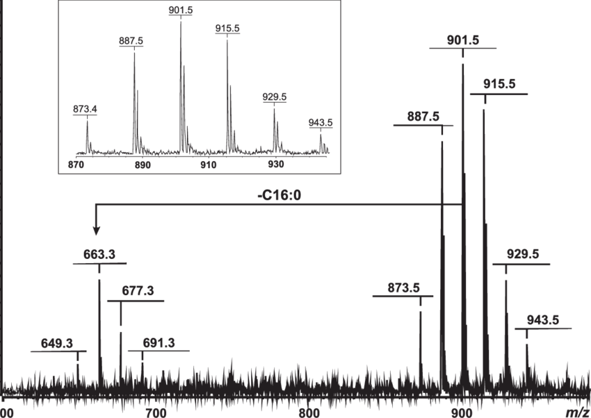 Positive Ion Maldi Tof Mass Spectrum Of The Isolated (850x602), Png Download