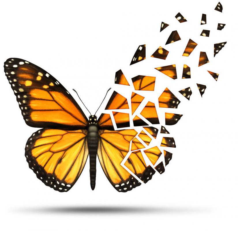 Multiple Sclerosis Png (840x829), Png Download